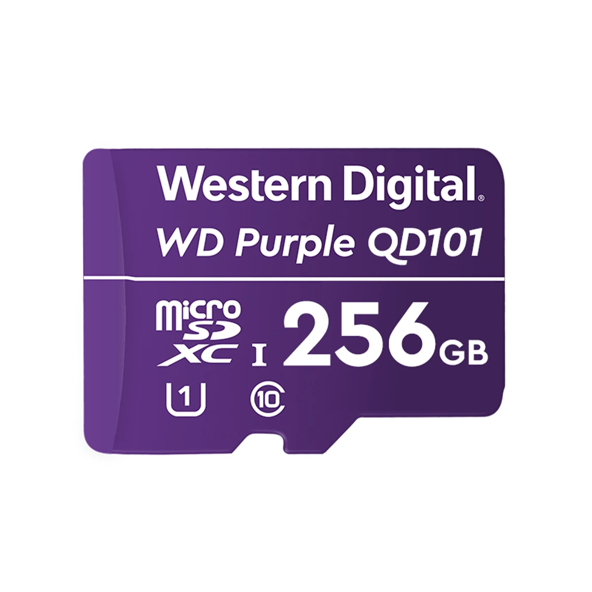 Castro Naves - CARTAO MICRO SD 256GB 128TBW - 106130 01