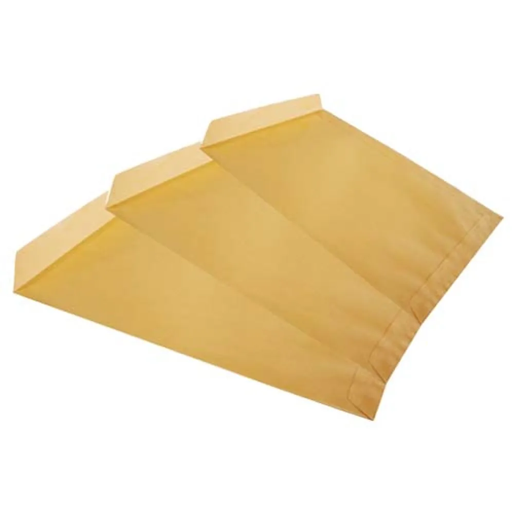 Castro Naves - ENVELOPE SACO KRAFT OURO 260X360MM PT/100 - 36723 01