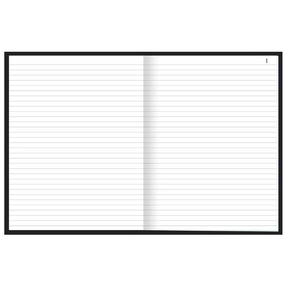 Castro Naves - LIVRO DE ATAS SEM MARGEM CAPA DURA C/100 FLS - 50732 02