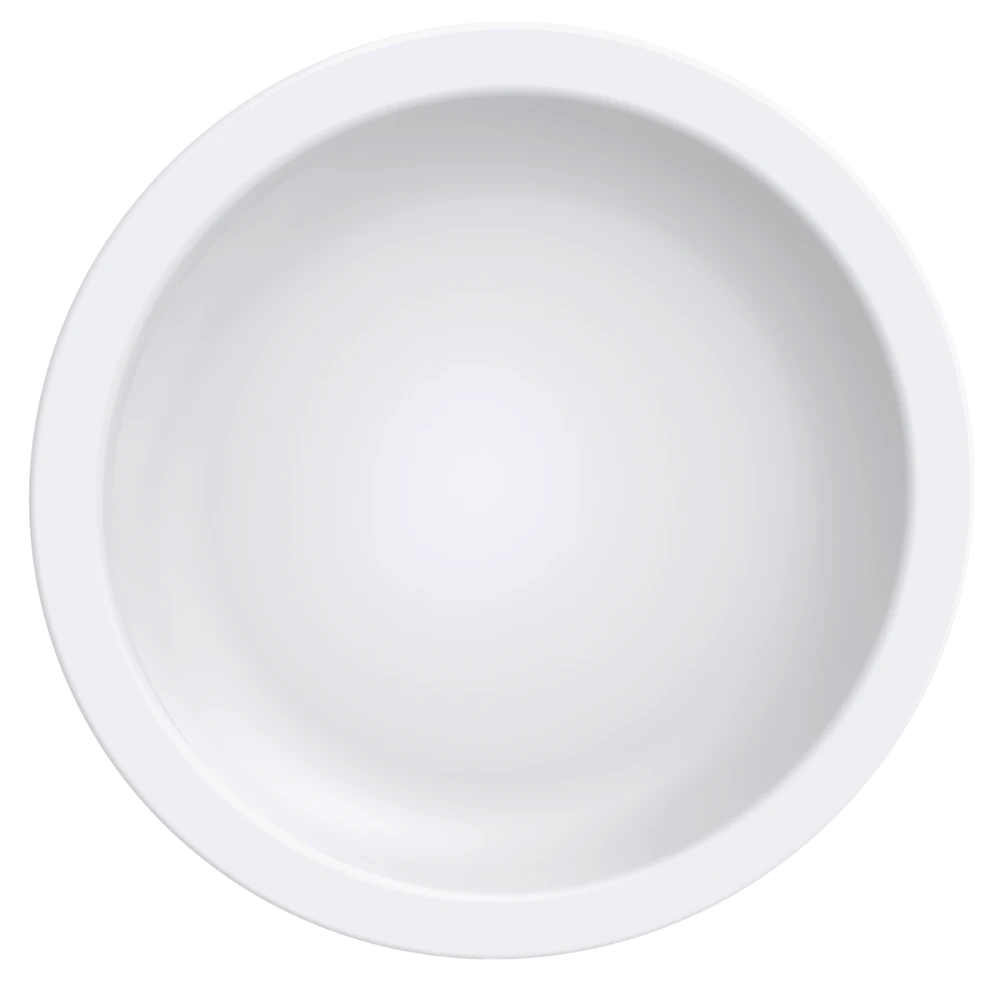 Castro Naves - PRATO PORCELANA BR PAOLA RASO 28CM TARA CERTA - 8946 01
