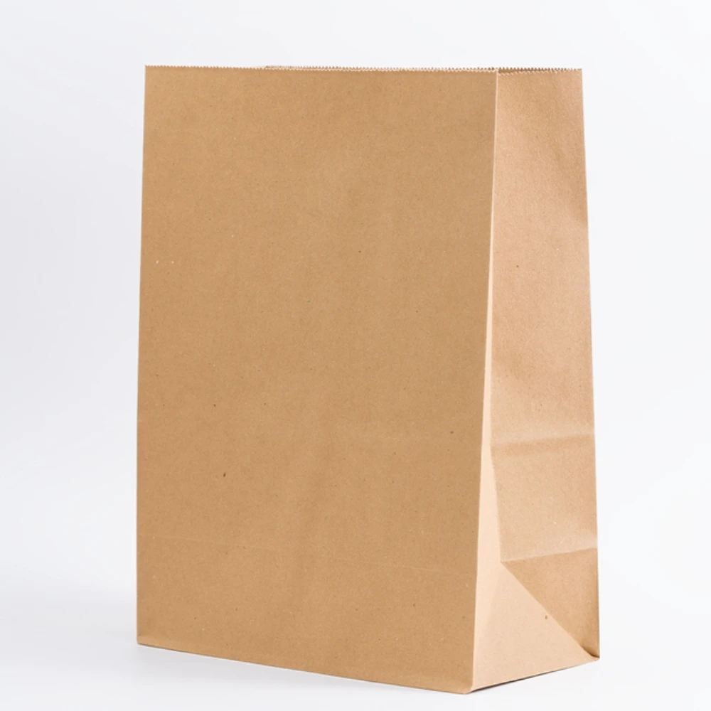 Castro Naves - SACO DELIVERY M 32X22X12CM C/50 S/ IMPRESSAO - 106798 01